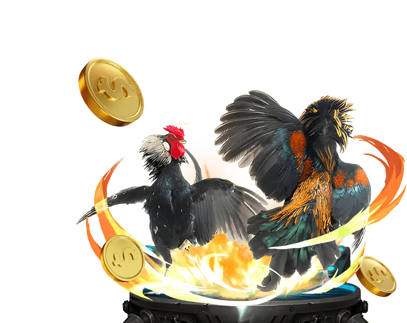 Trải nghiệm cá cược an toàn và công bằng Ku Casino Trực Tiếp