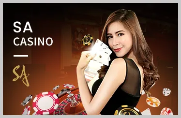 Cấp độ VIP Bạc của ku casino live
